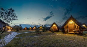 Dolphin Camping Sfintu Gheorghe